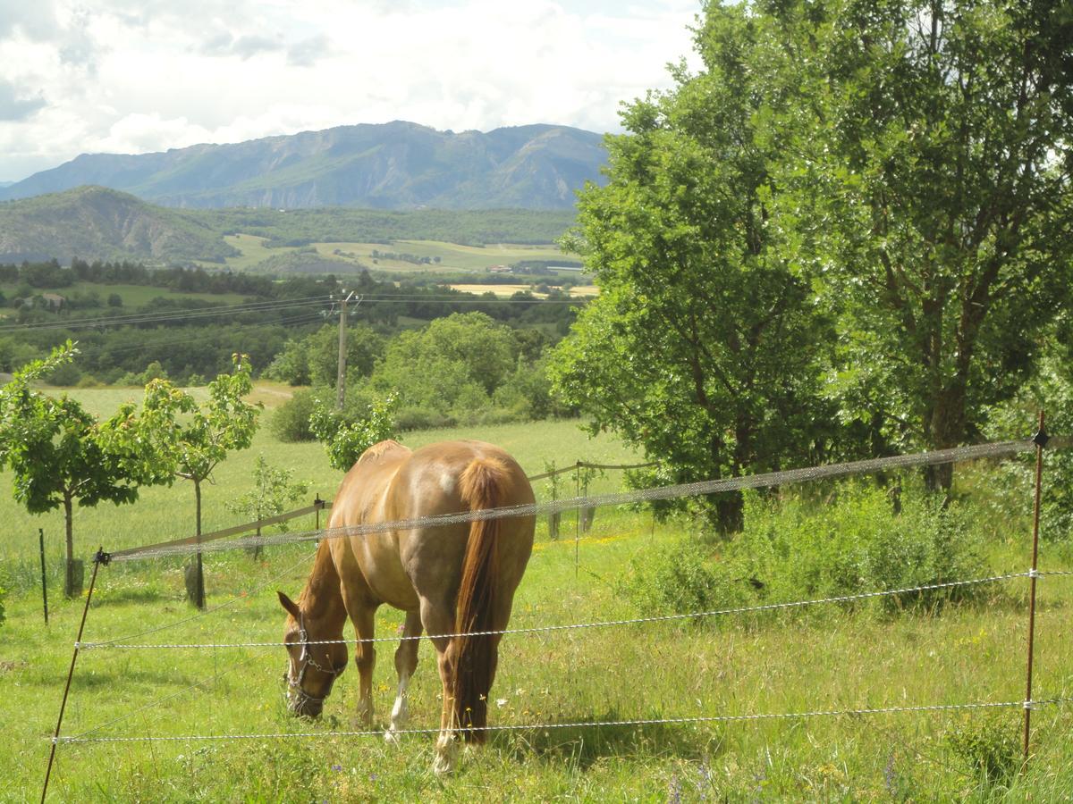 Un Gite De Charme En Haute Provence Villa Sigoyer  Exterior foto